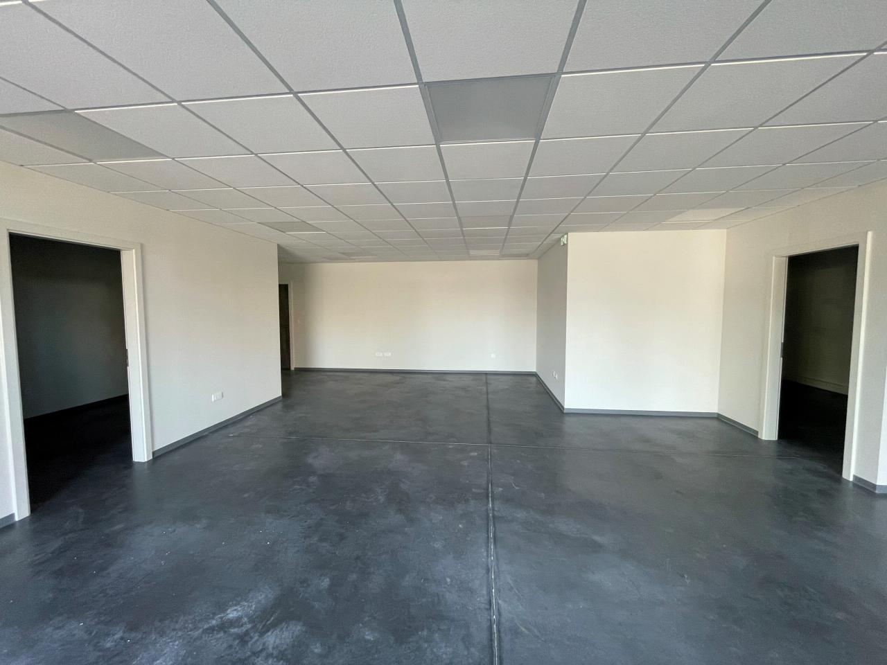 Local d'activité Brumath 2454m² Location local d'activité Brumath Bas-Rhin OLACT2529338 5